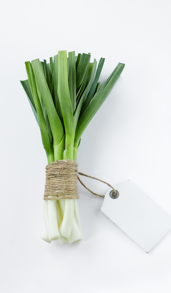 Пучок зеленого лука на белом фоне