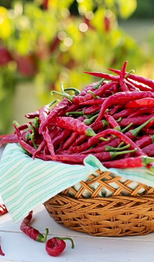 Много жгучего красного перца в корзине на столе
