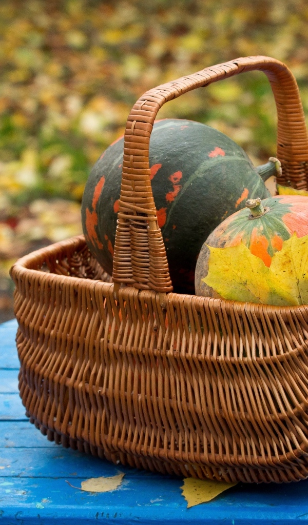 Корзина с тыквой осенью 