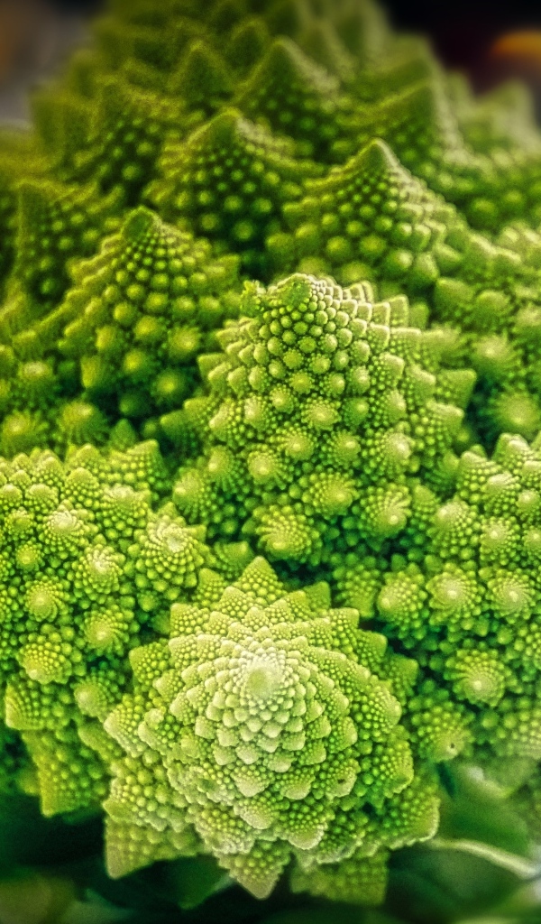 Красивая цветная капуста романеско