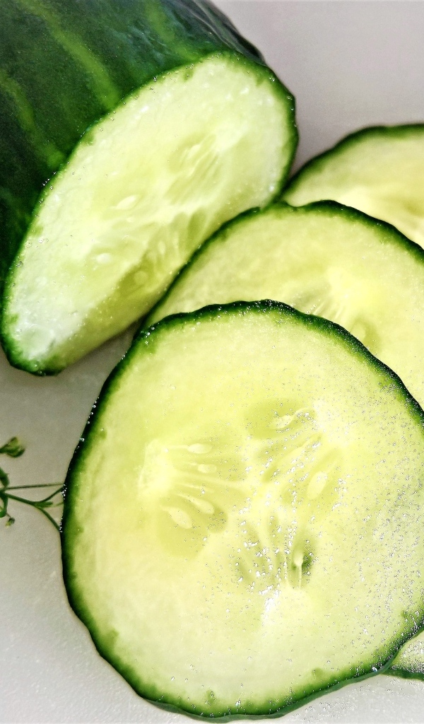 Большой свежий зеленый огурец на сером фоне