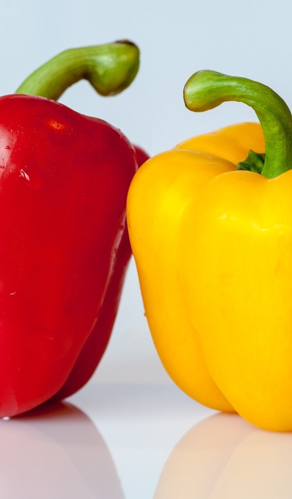 Большой красный и желтый перец на сером фоне