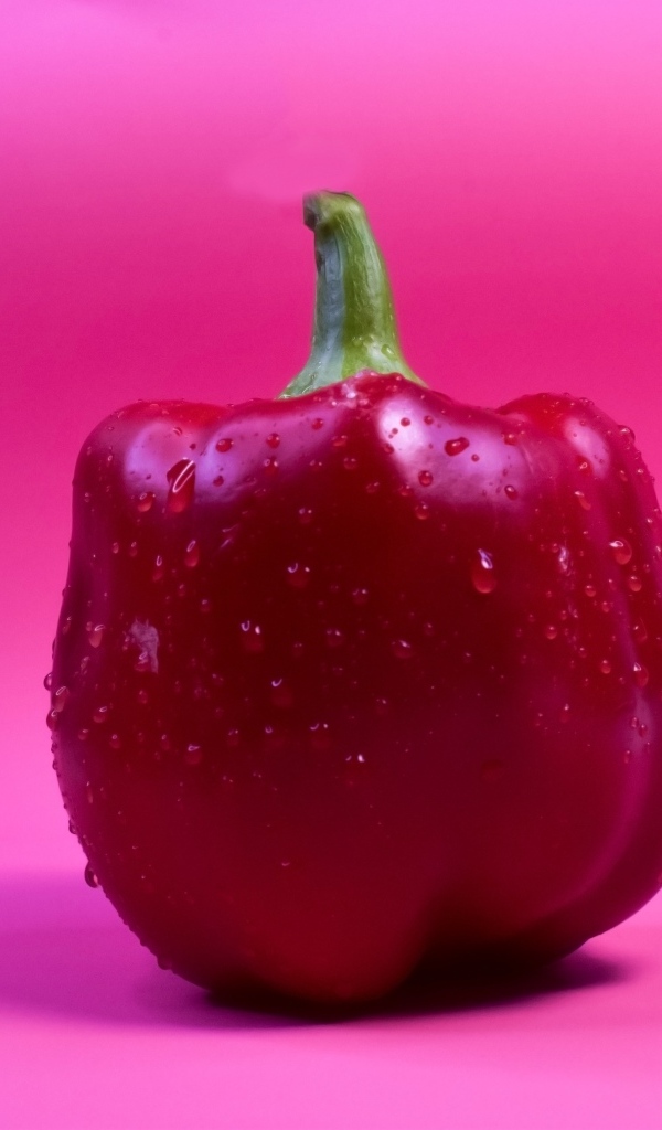 Большой красный перец на розовом фоне