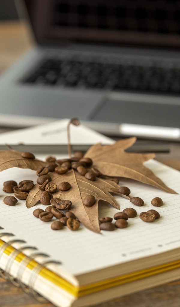 Зерна кофе с листом и блокнотом на столе
