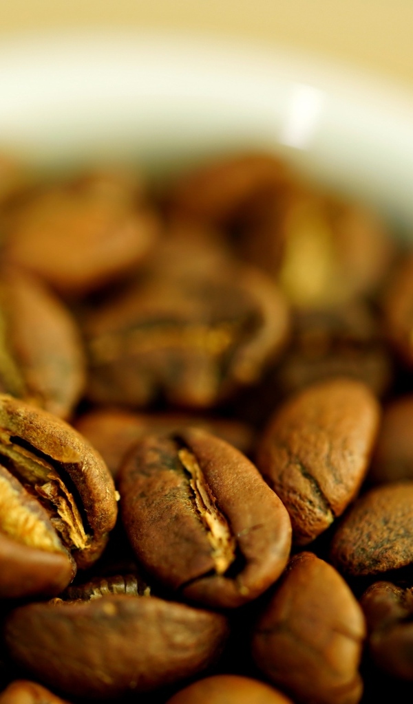 Зерна кофе с белой кружке вблизи