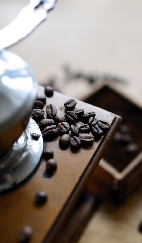 Кофемолка на столе с зернами