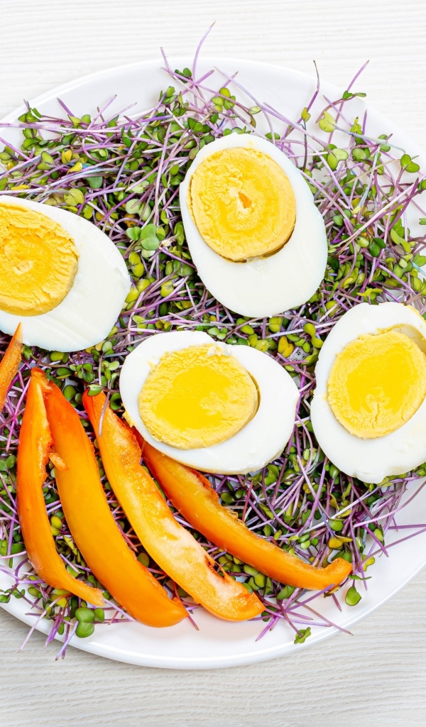 Яйца с кусочками сладкого перца и пророщенной зеленью