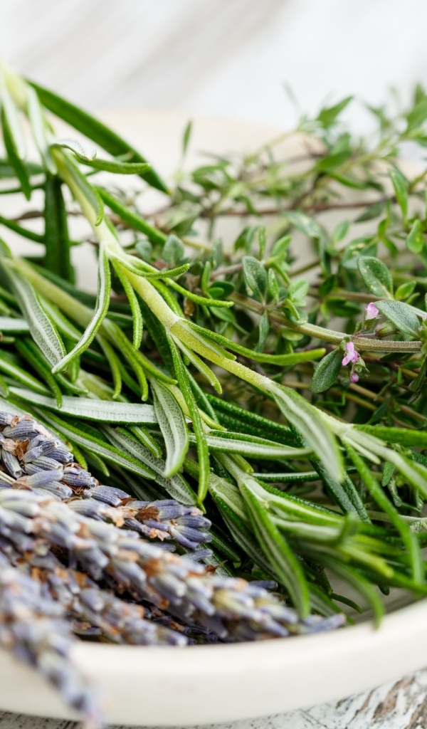 Ароматные пряные травы на столе