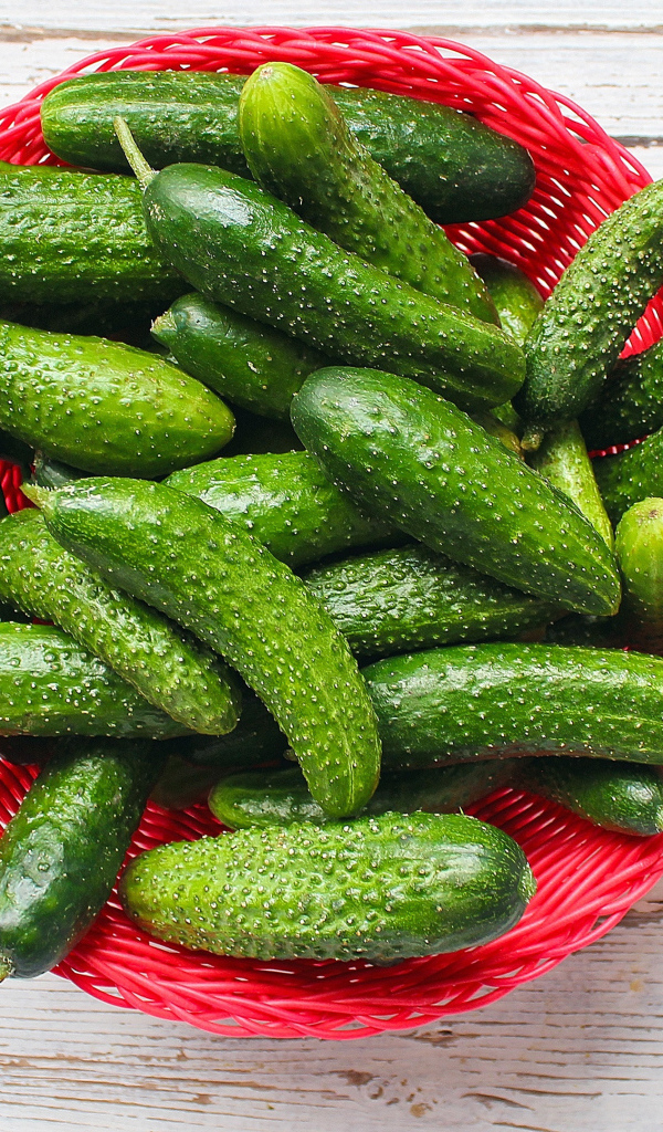 Свежие зеленые огурцы в корзинке на столе