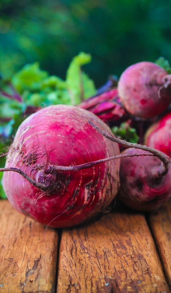 Свежая красная свекла на деревянном столе