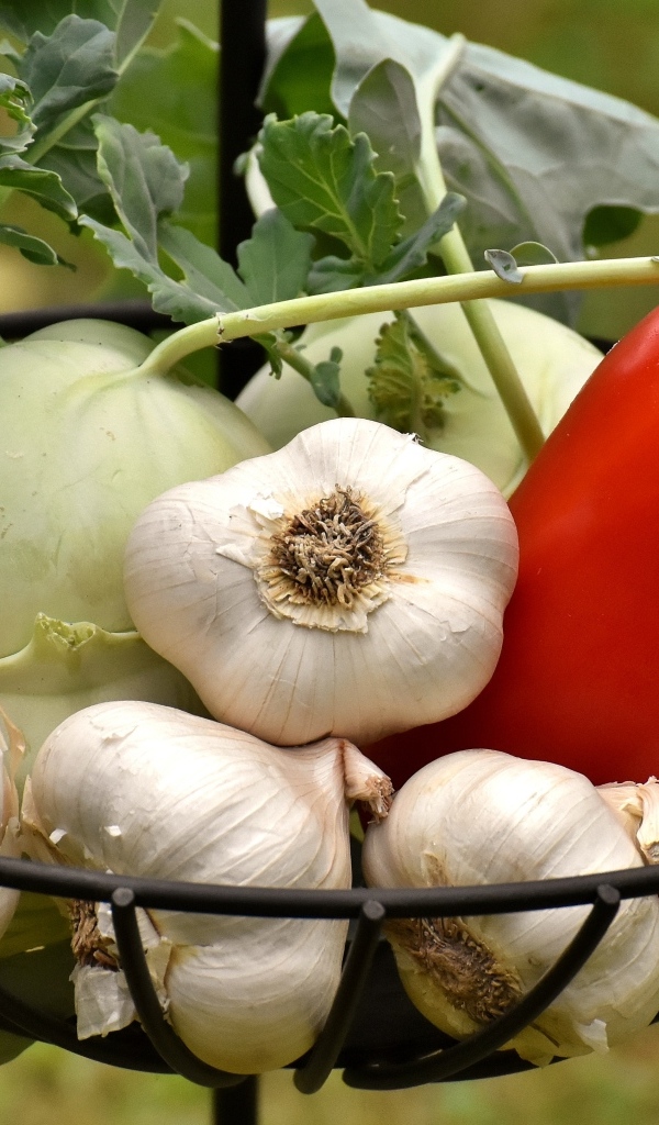 Чеснок, сладкий перец и корнеплоды в корзине