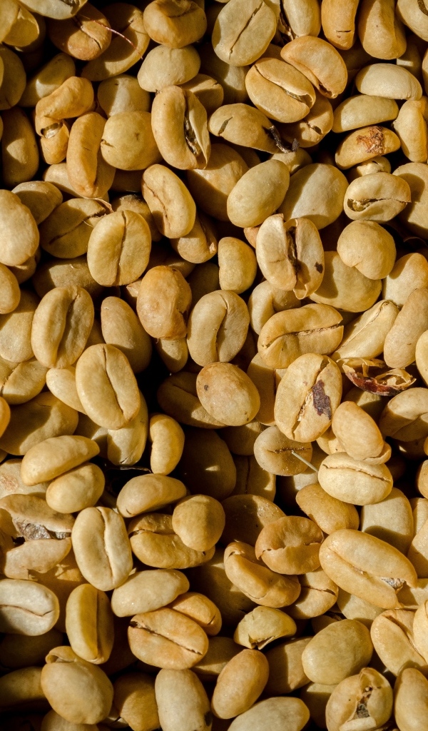 Зеленые ароматные зерна черного кофе