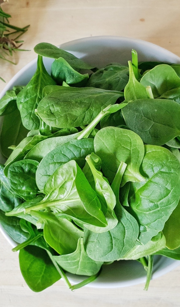 Зеленые листья базилика на столе с розмарином