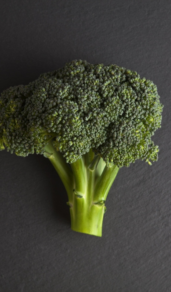 Зеленое брокколи на сером столе