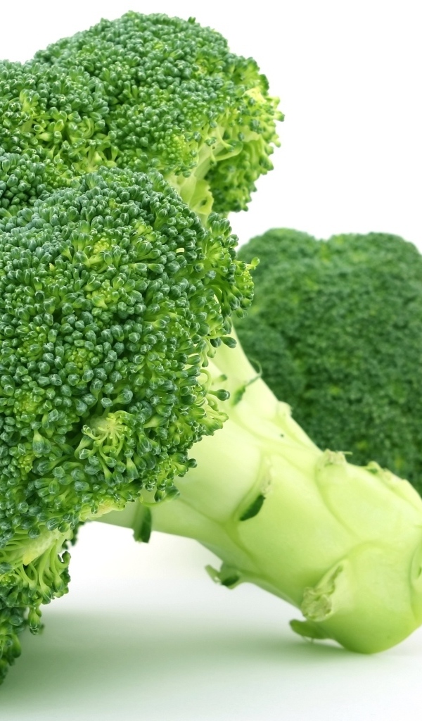 Зеленое брокколи на белом фоне вблизи