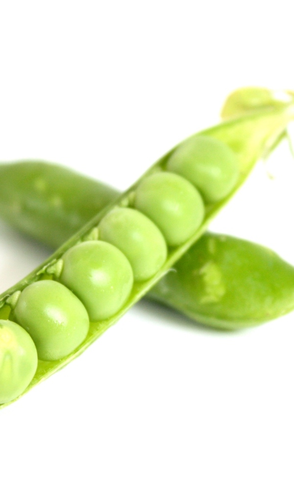 Зеленый горох на белом фоне