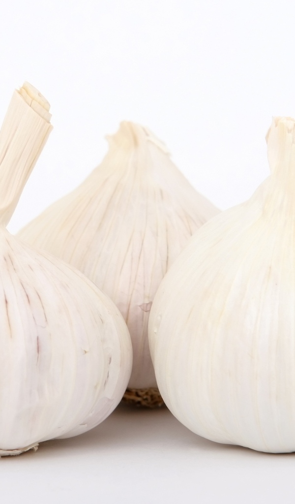 Большой ароматный чеснок на белом фоне