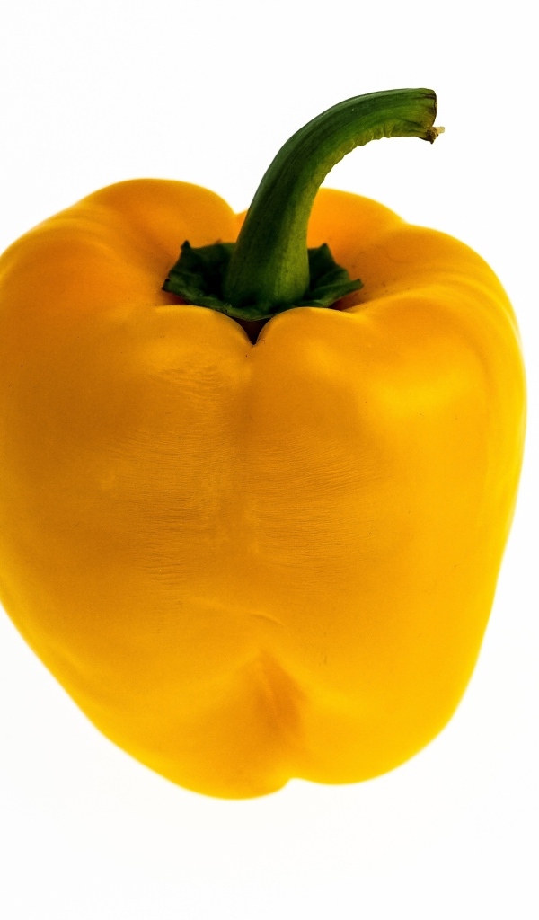 Большой желтый болгарский перец на белом фоне