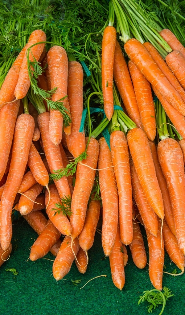 Много оранжевой моркови