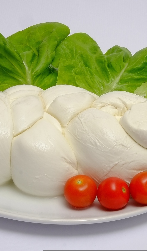 Сыр моцарелла на тарелке с листьями салата и помидорами