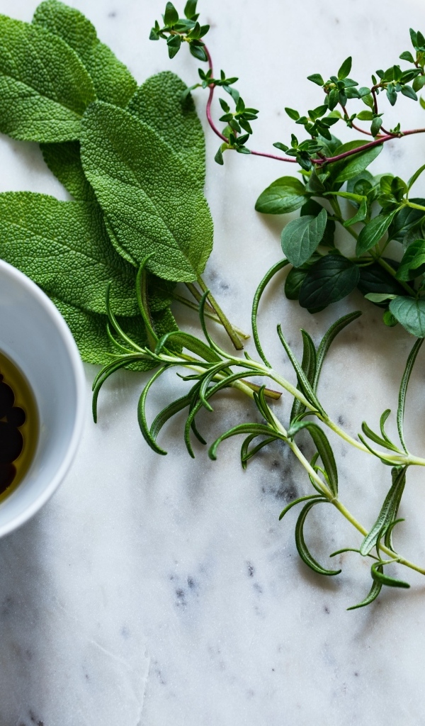 Оливковое масло с зеленью и чесноком