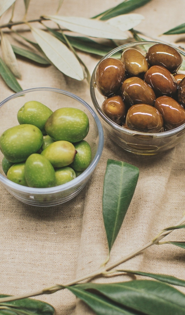 Оливки на столе с ветками