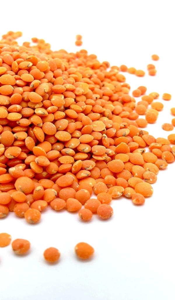 Оранжевая чечевица на белом фоне