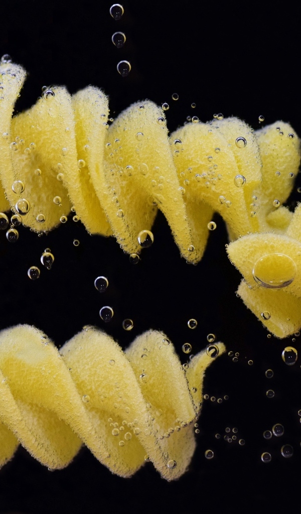 Макароны в воде на черном фоне