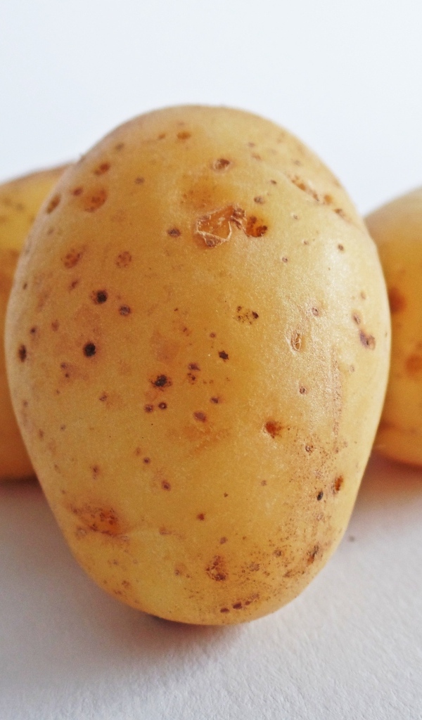 Картофель на белом фоне 