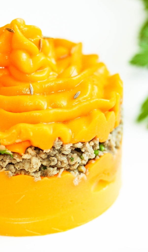 Тыквенное пюре с мясом на тарелке