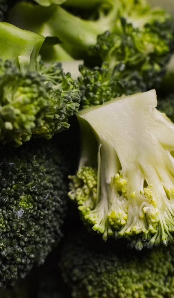 Сырой полезный овощ брокколи