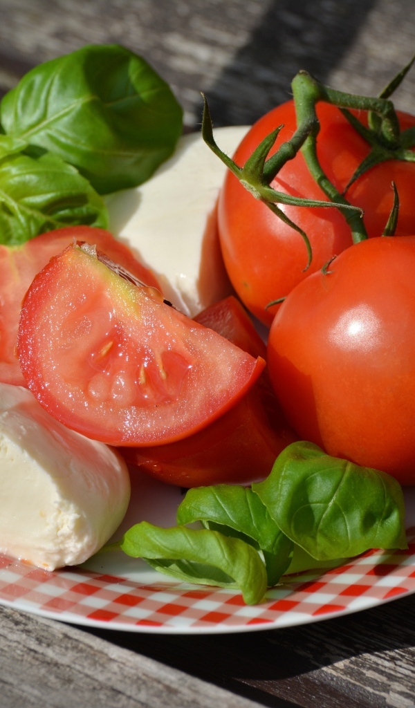 Красные помидоры с сыром и базиликом на тарелке