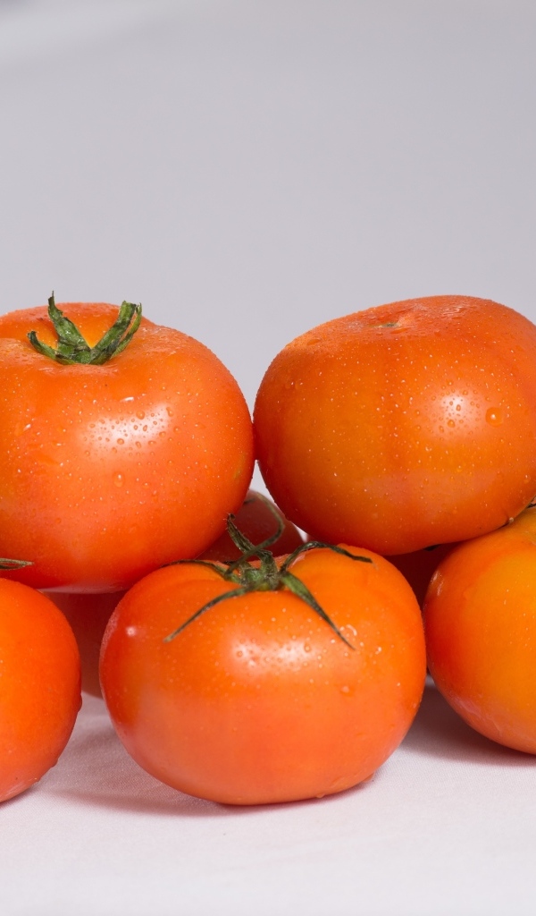 Спелые чистые красные помидоры