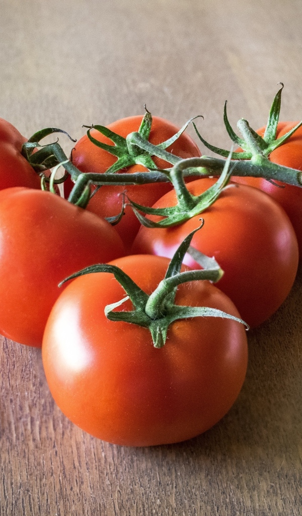 Спелые вкусные круглые красные помидоры