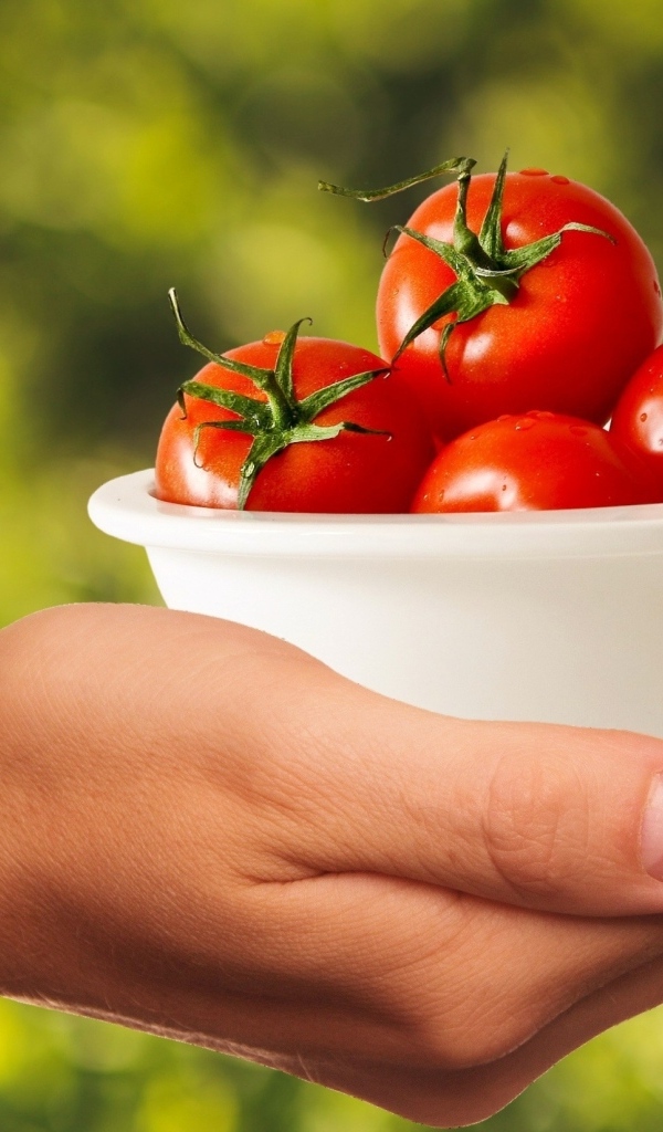 Спелые томаты в белой тарелке на руке