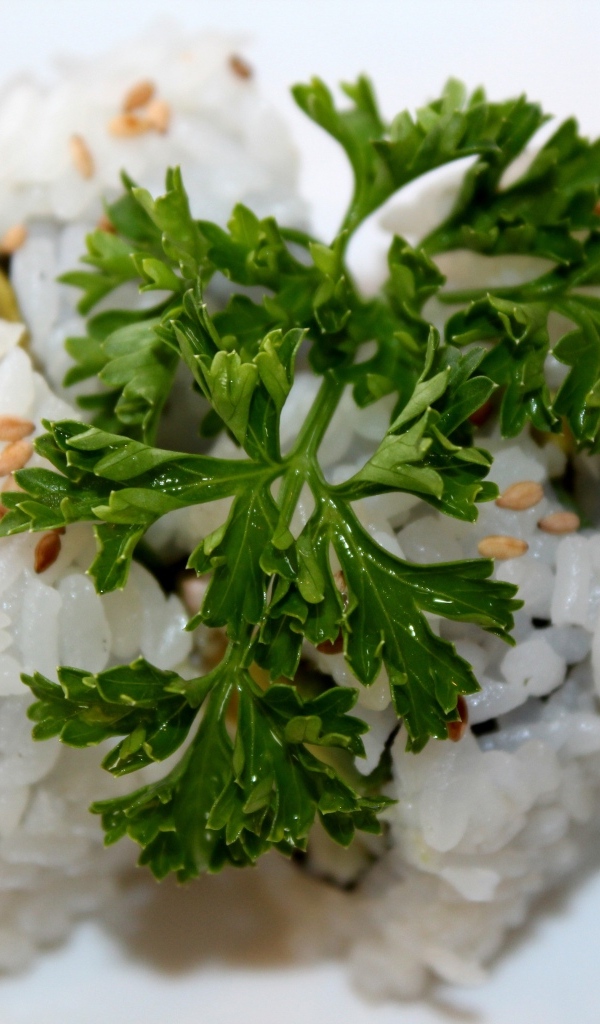 Роллы на тарелке с веточкой петрушки