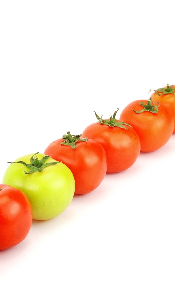 Ряд из помидоров на белом фоне