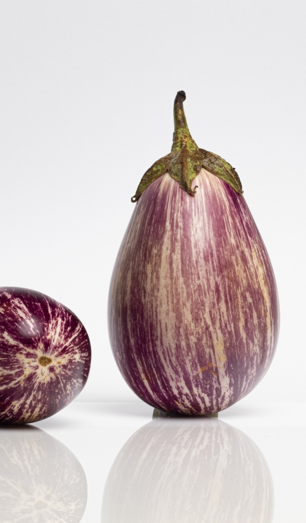 Два баклажана на сером фоне