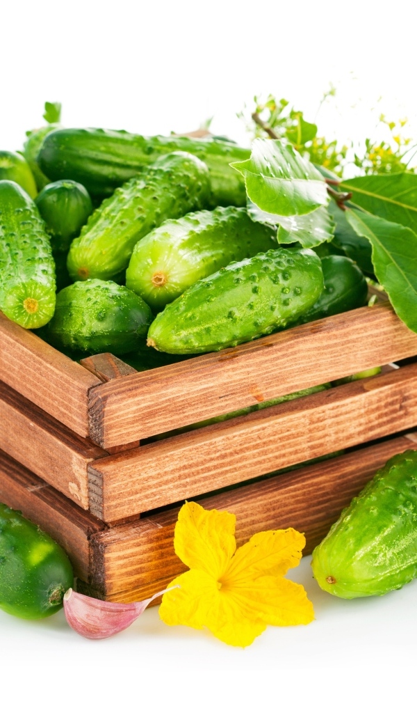 Деревянный ящик с зелеными огурцами и пряностями