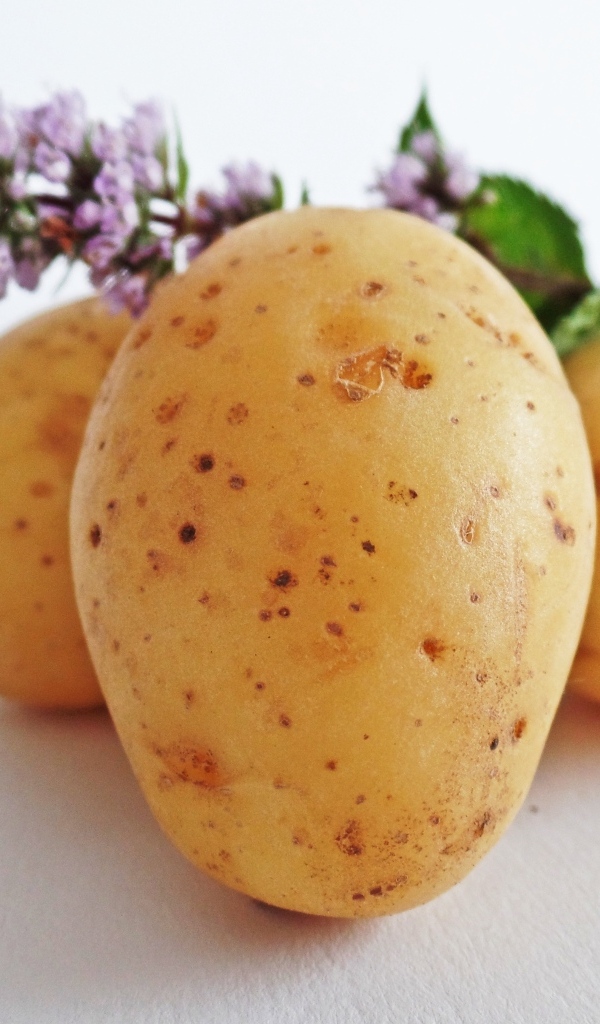 Молодой картофель с цветами мяты