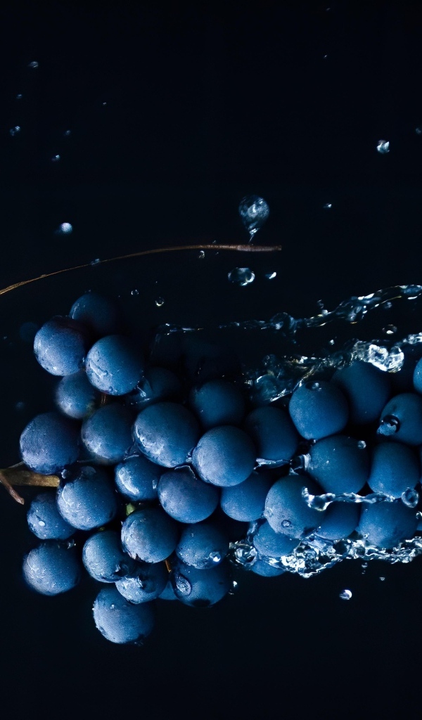 Гроздь синего винограда в брызгах воды на черном фоне