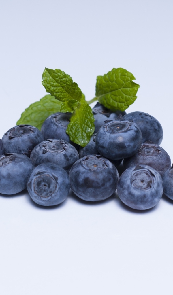 Горсть ягод черники на сером фоне