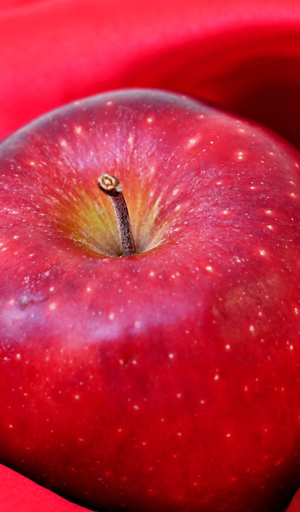 Большое красное яблоко лежит на ткани