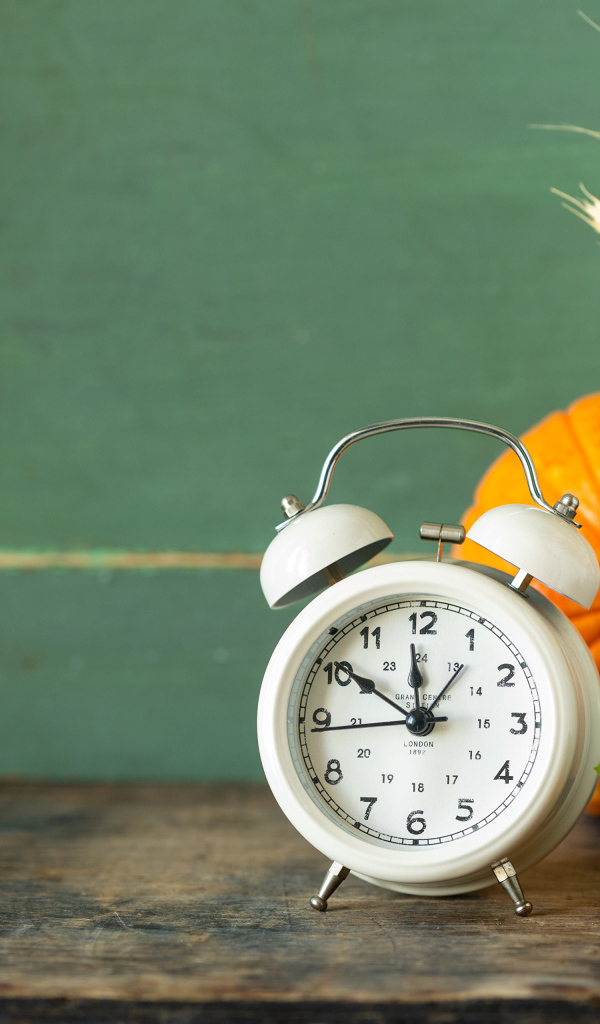 Будильник на столе с тыквой и ягодами рябины