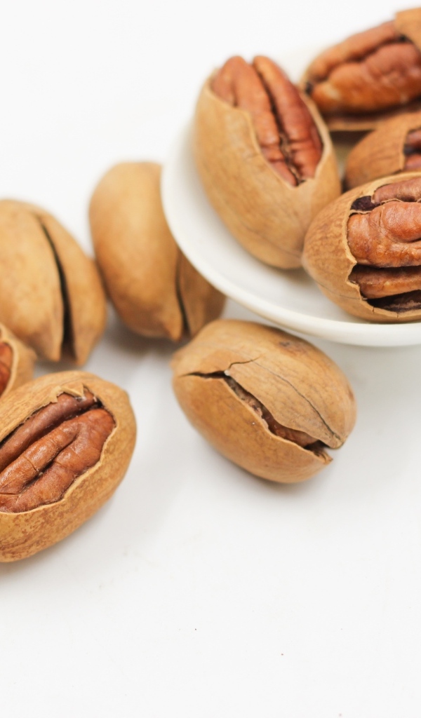 Большой орех пекан на белом фоне