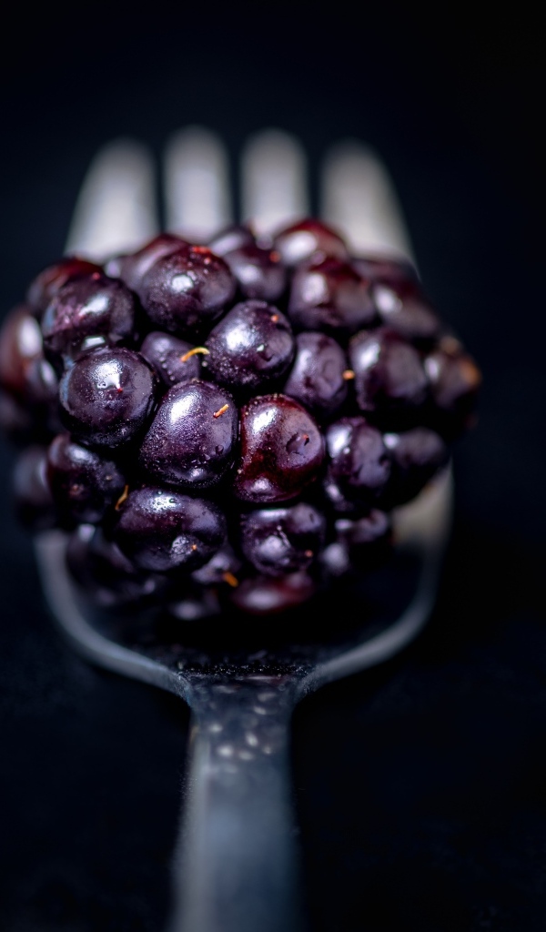 Ягода ежевики на вилке на черном фоне