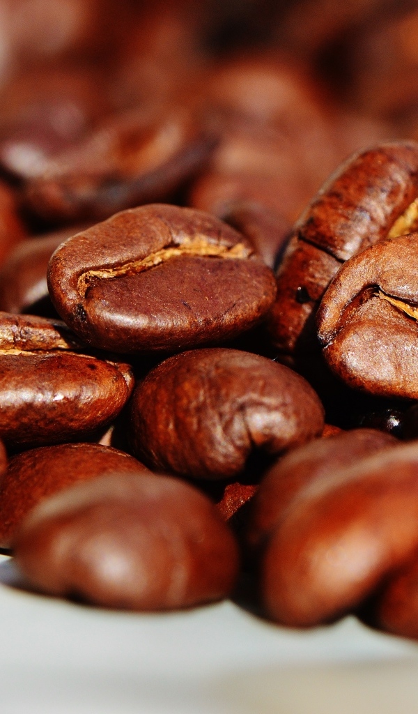 Коричневые жареные зерна кофе