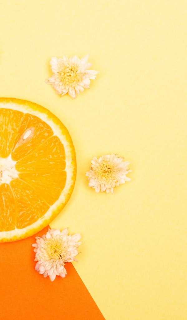 Кружок апельсина с цветами хризантемы