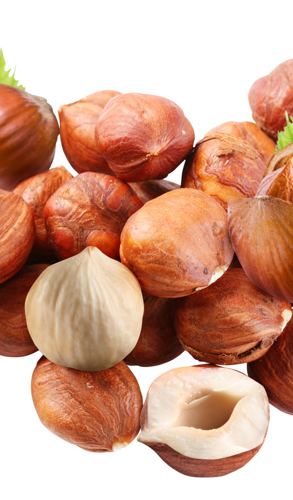 Вкусные лесные орехи на белом фоне