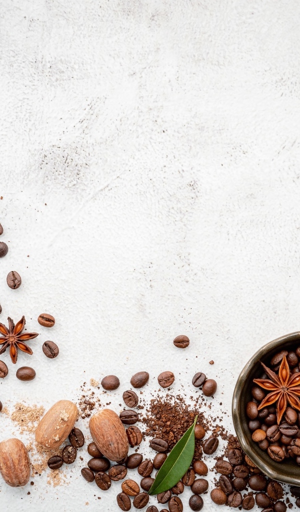 Зерна кофе со специями на сером фоне
